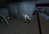 Half-Life