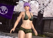 Dead or Alive 5