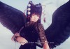 Dead or Alive 5