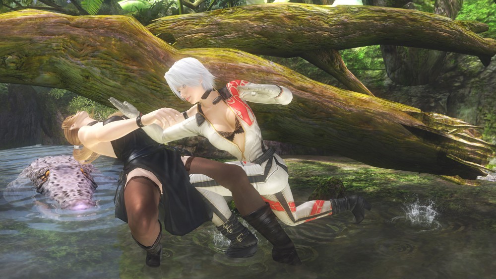 Dead or Alive 5