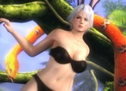 Dead or Alive 5 screenshot