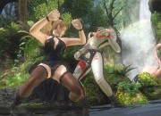 Dead or Alive 5