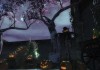 Guild Wars 2