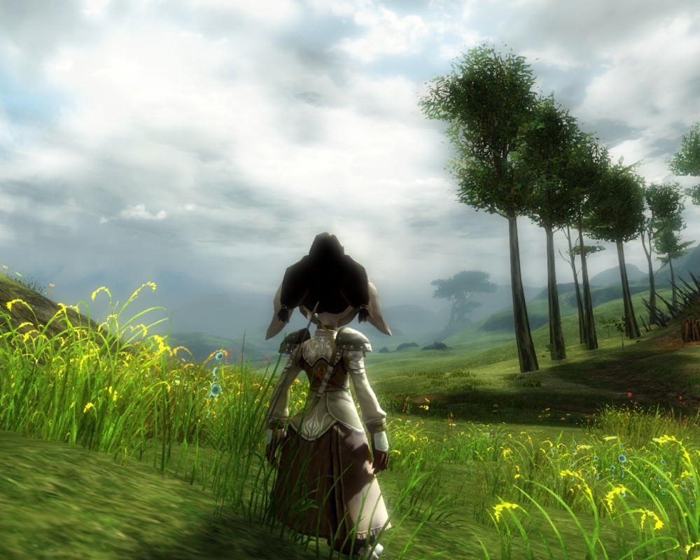 Guild Wars 2