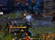 Guild Wars 2 screenshot