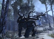 Guild Wars 2 screenshot