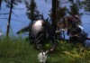 Guild Wars 2