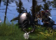 Guild Wars 2 screenshot