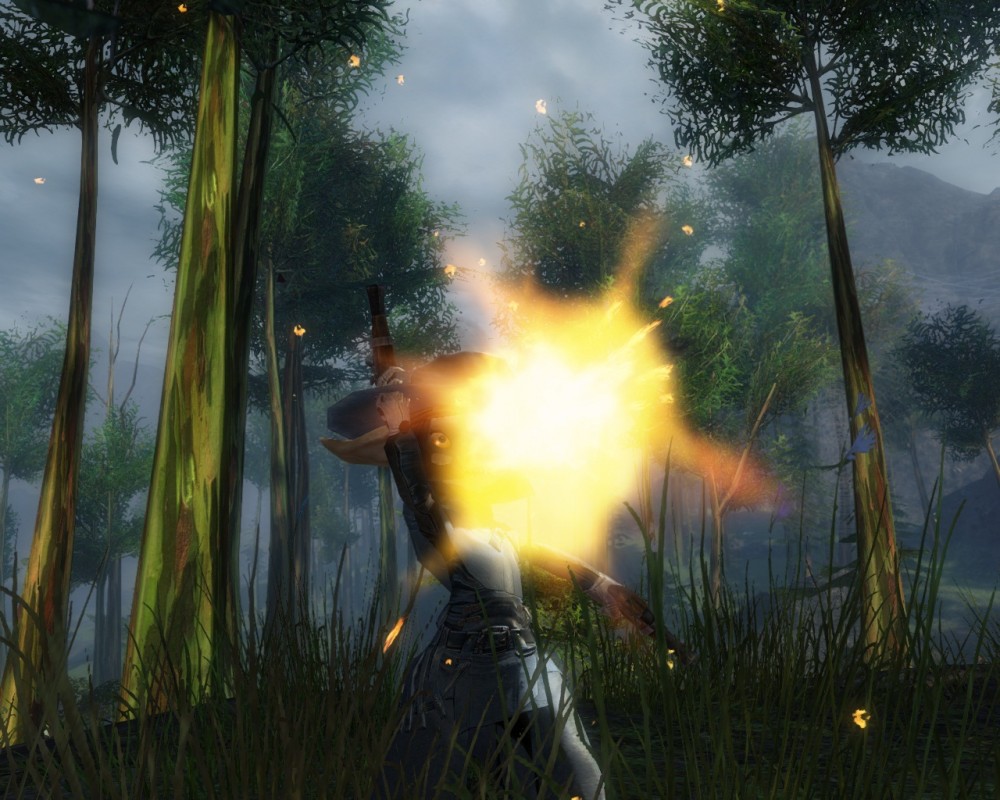 Guild Wars 2
