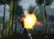 Guild Wars 2