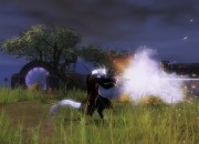 Guild Wars 2 screenshot