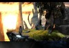 The Longest Journey