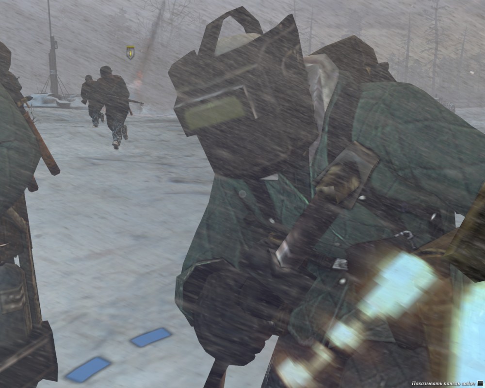 Company of Heroes 2