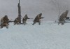 Company of Heroes 2