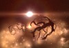 EVE Online