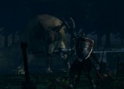 Dark Souls: Prepare To Die