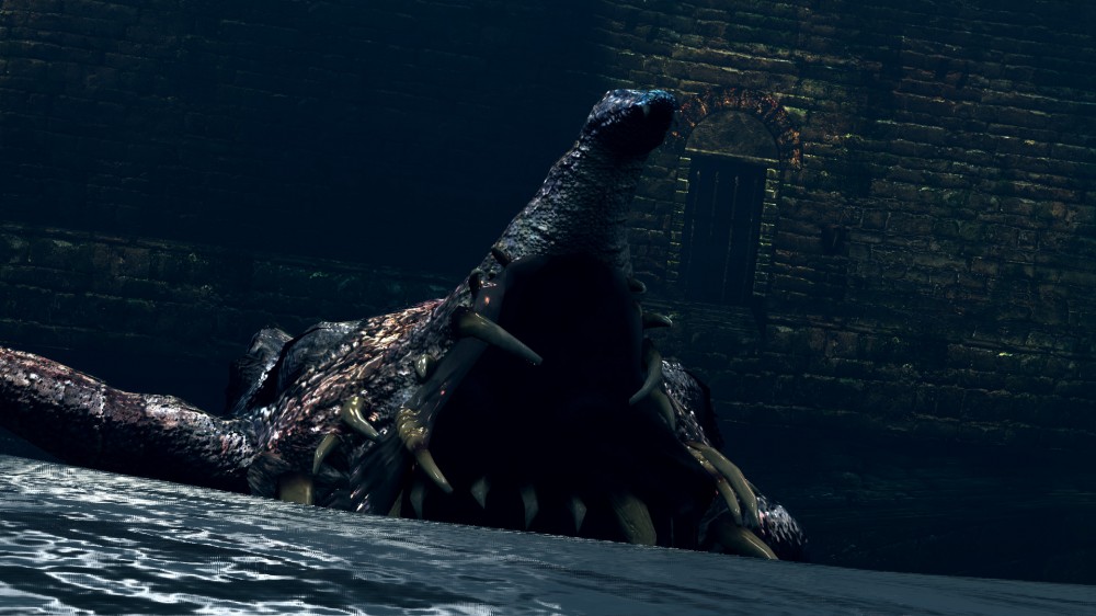 Dark Souls: Prepare To Die