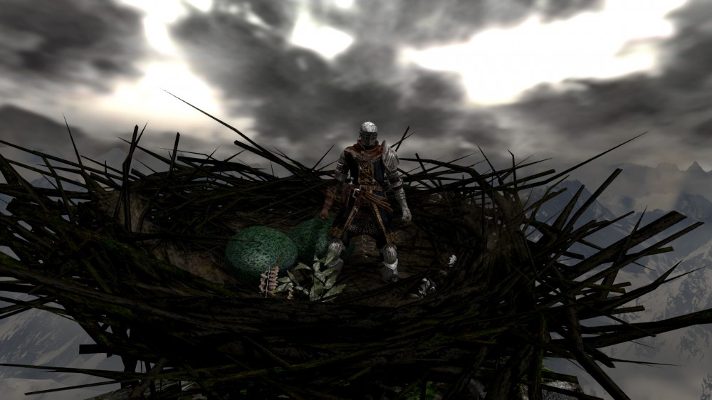 Dark Souls: Prepare To Die