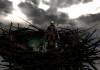Dark Souls: Prepare To Die