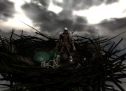 Dark Souls: Prepare To Die