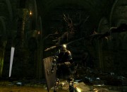 Dark Souls: Prepare To Die