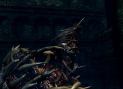 Dark Souls: Prepare To Die