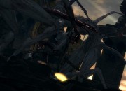 Dark Souls: Prepare To Die