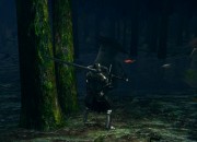 Dark Souls: Prepare To Die