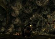 Dark Souls: Prepare To Die