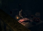 Dark Souls: Prepare To Die