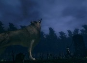 Dark Souls: Prepare To Die