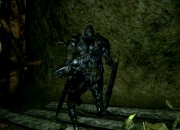 Dark Souls: Prepare To Die