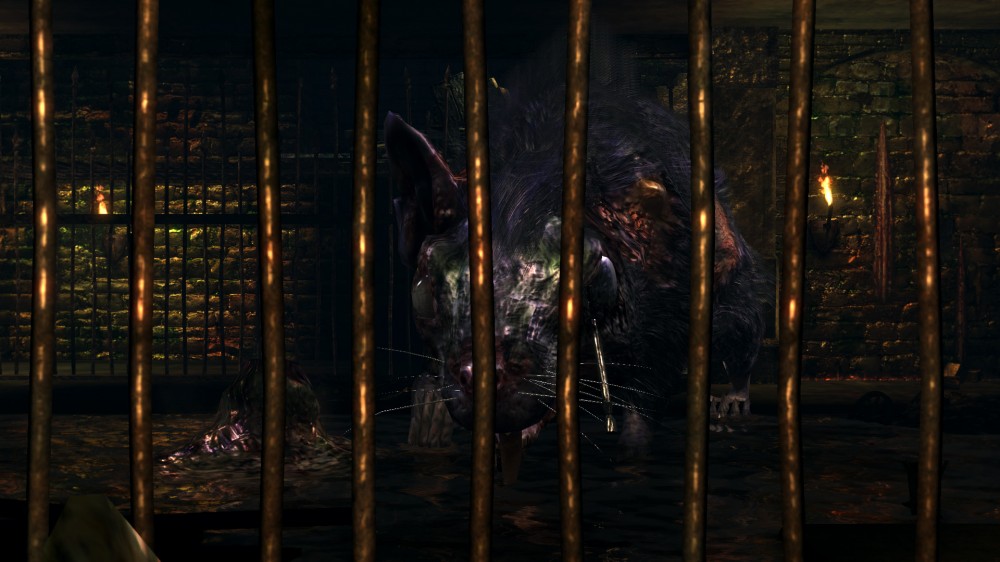 Dark Souls: Prepare To Die