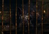 Dark Souls: Prepare To Die