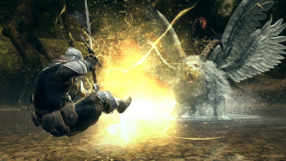 Dark Souls: Prepare To Die