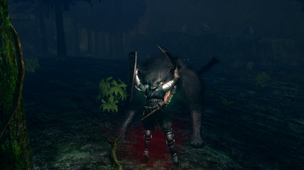 Dark Souls: Prepare To Die
