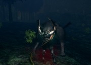 Dark Souls: Prepare To Die
