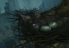 Dark Souls: Prepare To Die
