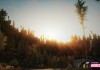 Forza Horizon