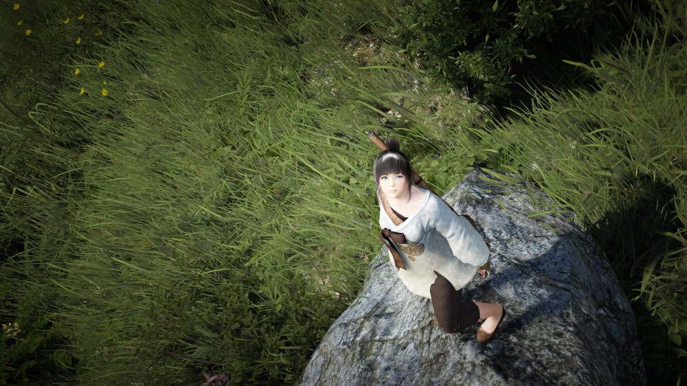 Black Desert Online