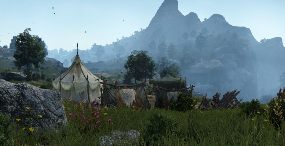 Black Desert Online
