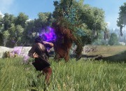 Black Desert Online screenshot