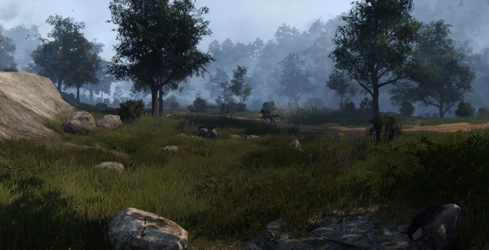 Black Desert Online