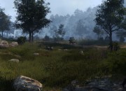 Black Desert Online