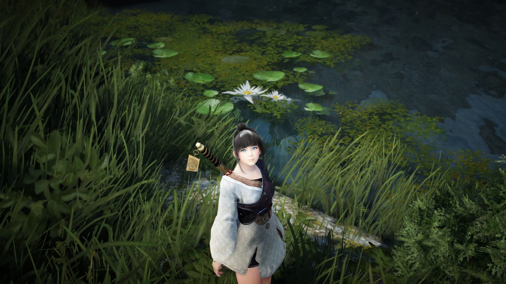 Black Desert Online