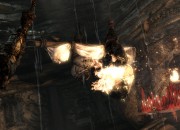Tomb Raider