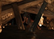 Tomb Raider