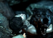 Tomb Raider