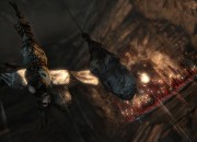 Tomb Raider