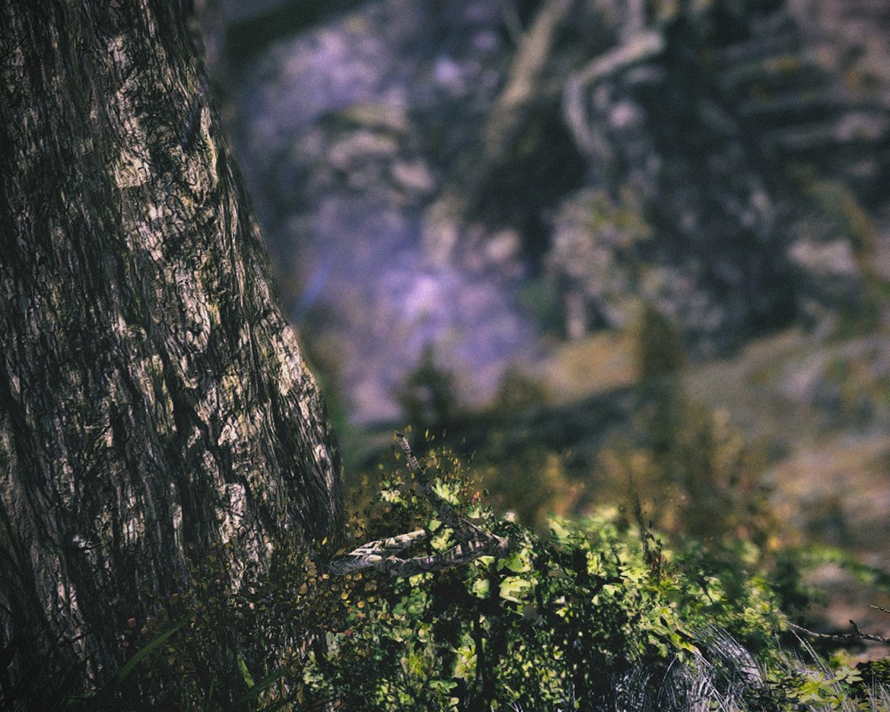 Tomb Raider